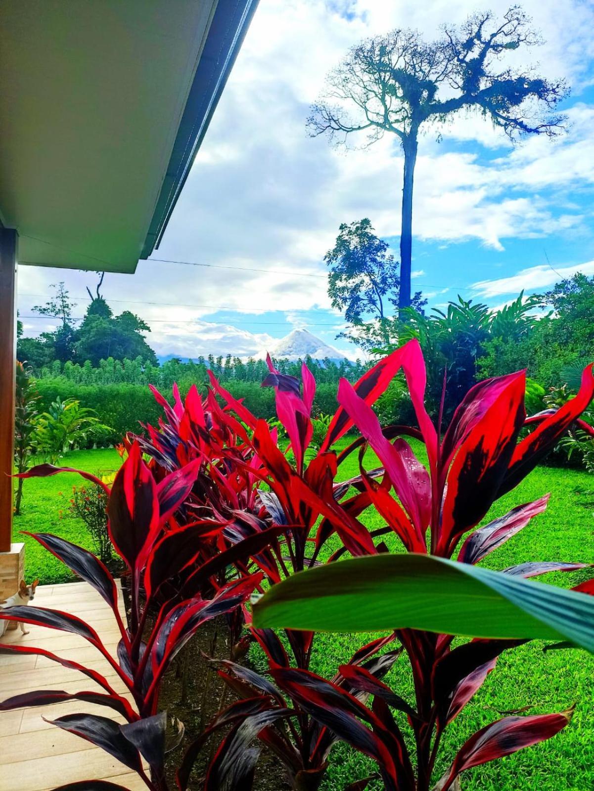 Villa Ceiba La Fortuna Exterior foto
